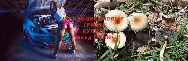 дмт Балахна