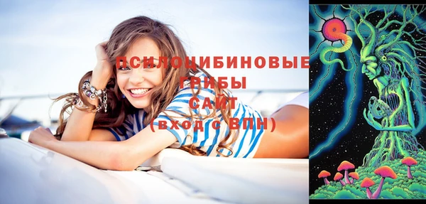 дмт Балахна