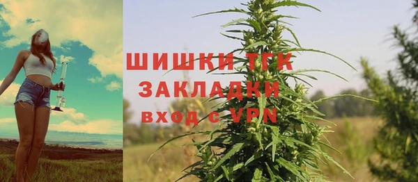a pvp Гусь-Хрустальный